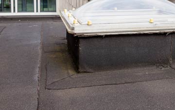 disadvantages of Glanrhyd flat roofs