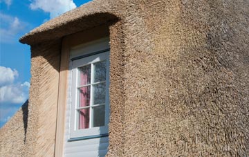 Glanrhyd thatch roof disadvantages